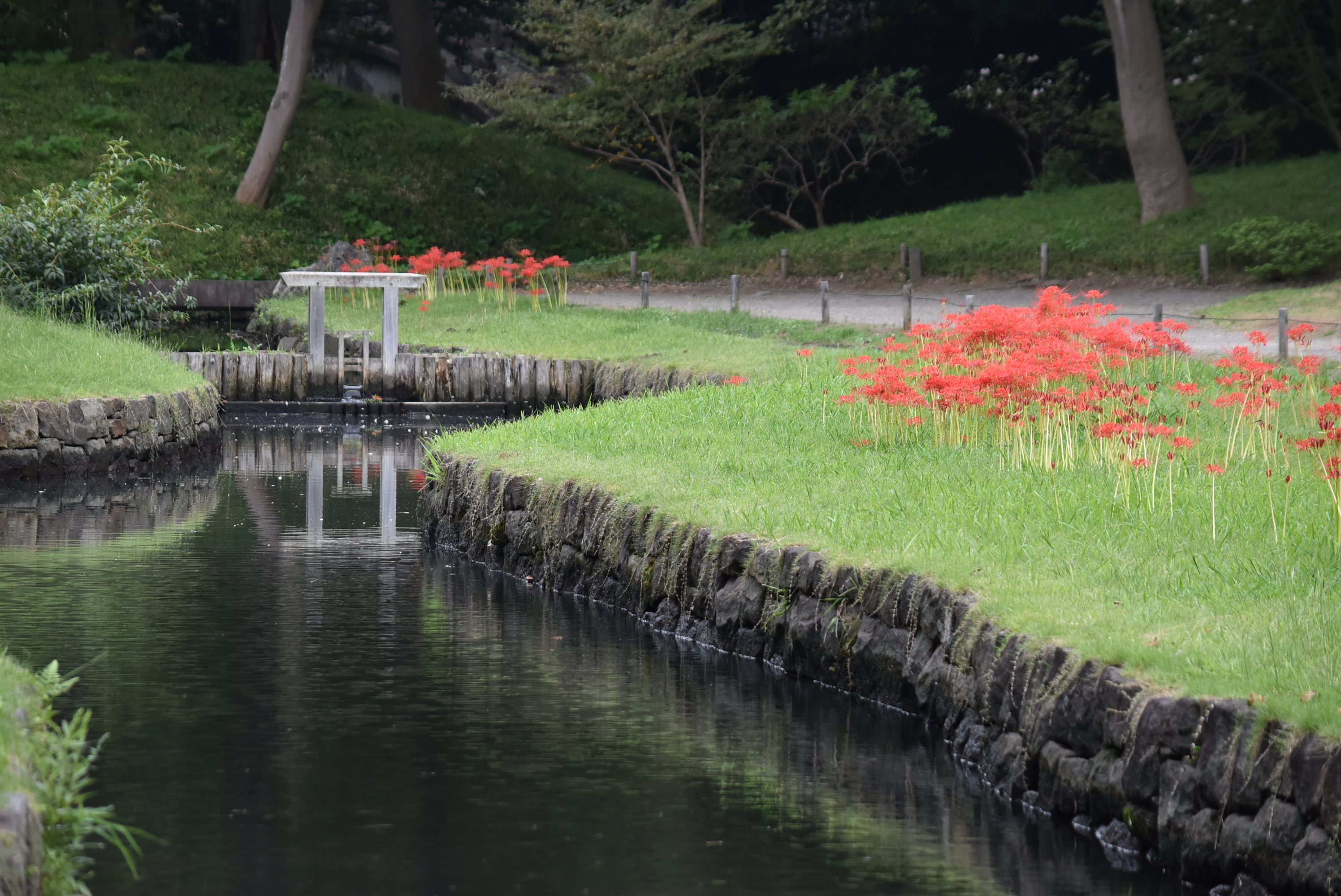 小石川後楽園